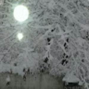 Meet your Posher, Jane